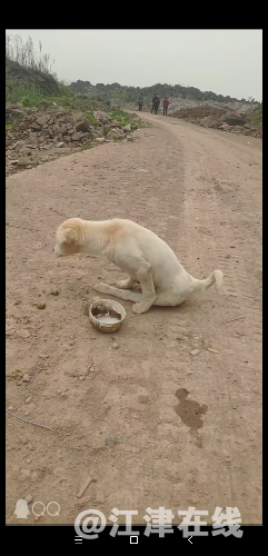 Screenshot_2019-03-12-11-35-24-161_com.miui.video.png