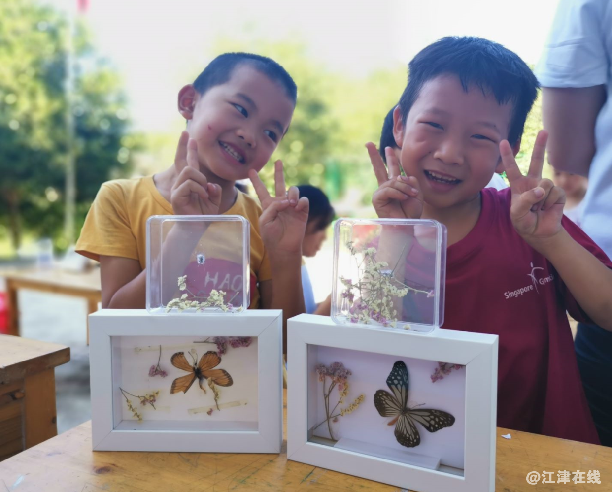 图片描述：孩子们做的蝴蝶标本.png