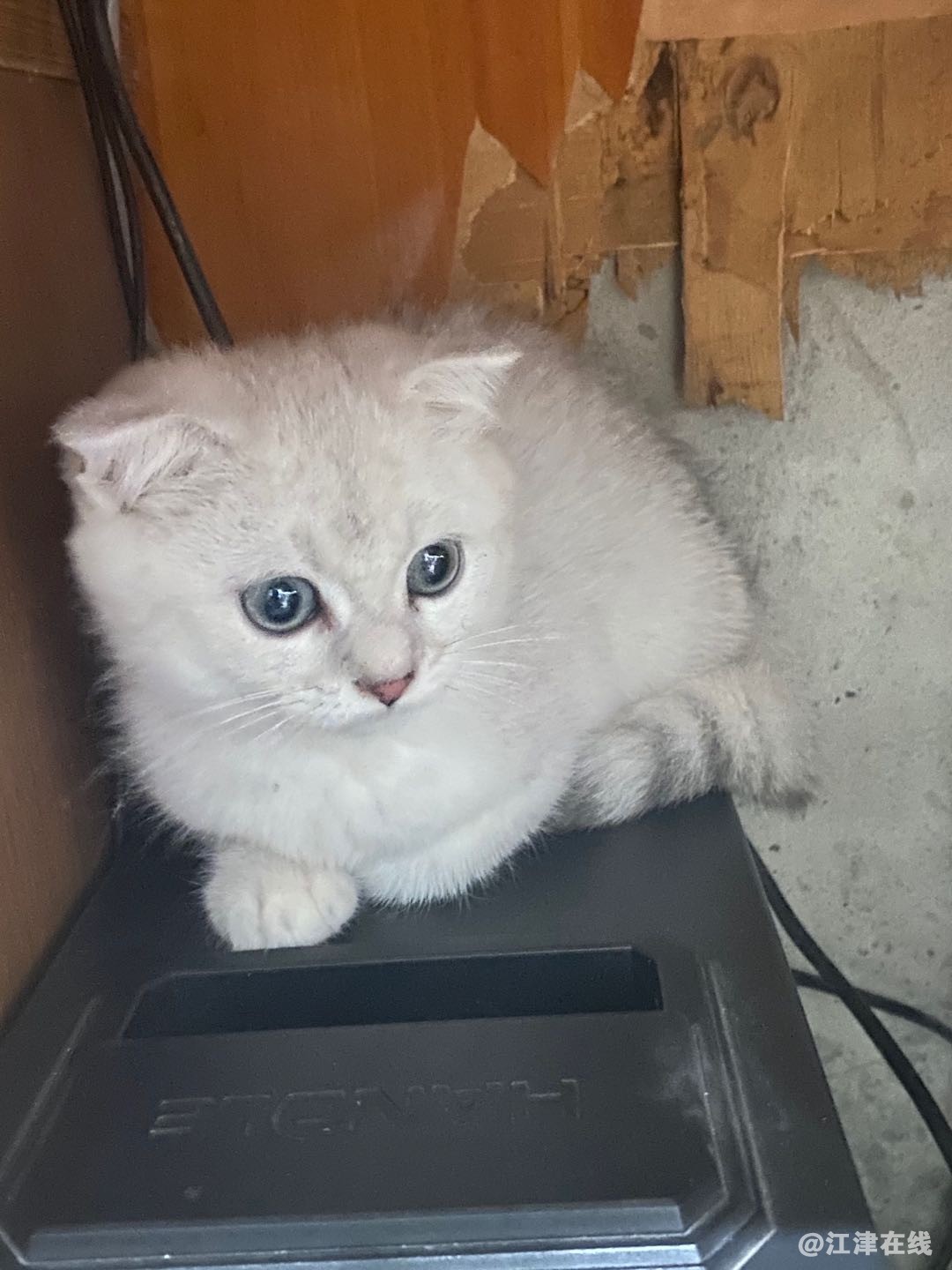 mini_bbs_wap_FulBPXPRbbJmaMKQ-ZJd1zBC9wP6.jpg