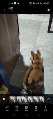 front1_0_FuAA-w_etd3M4pfwO2CvmaoqssyN.1630567739.jpg