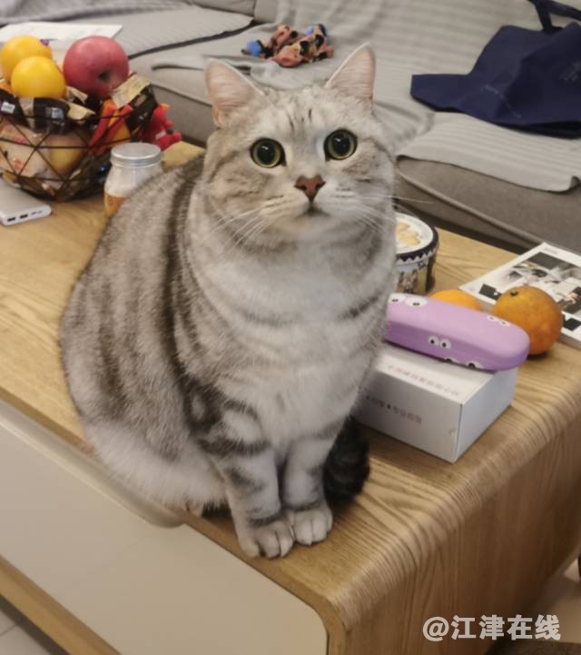 mini_bbs_wap_FiAlGSrjn1uzuAiU51oXOfRUlCRT.1630844033.jpg