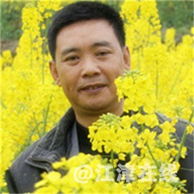 作者：春天的印象.jpg