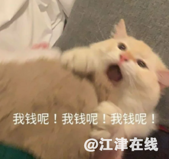 dd34a6372713743f7cd04c9dccd569a5.png