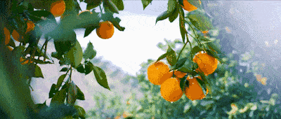 d72b97db2989b2505ce812723afc6eb5.gif