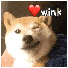 31d3021f5b196248fb5856e0db3dd457.gif