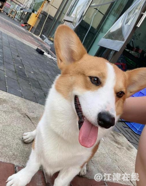微信截图_20211216121647.png