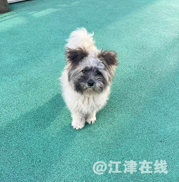 微信截图_20220307174804.png