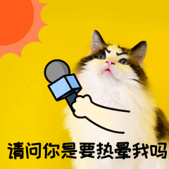 aee0becdf6f31aba76443fd88be8c3e5.gif