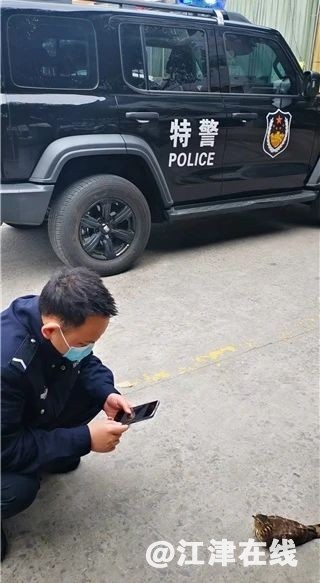 a19d4907d5e5f69a9502cf3cfccce076.jpg