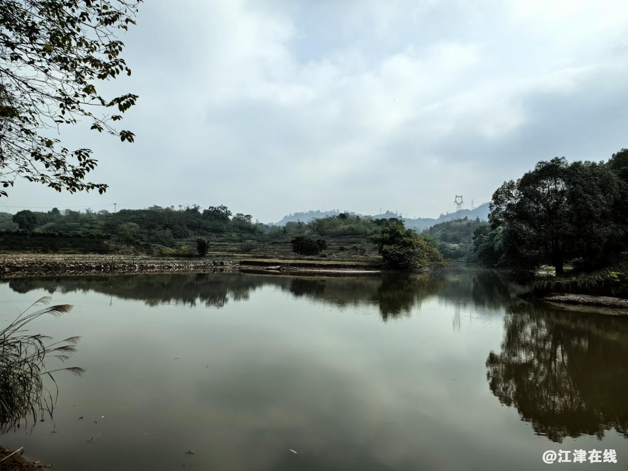 46c78111d5b386a7e7c10773d01356c6.png