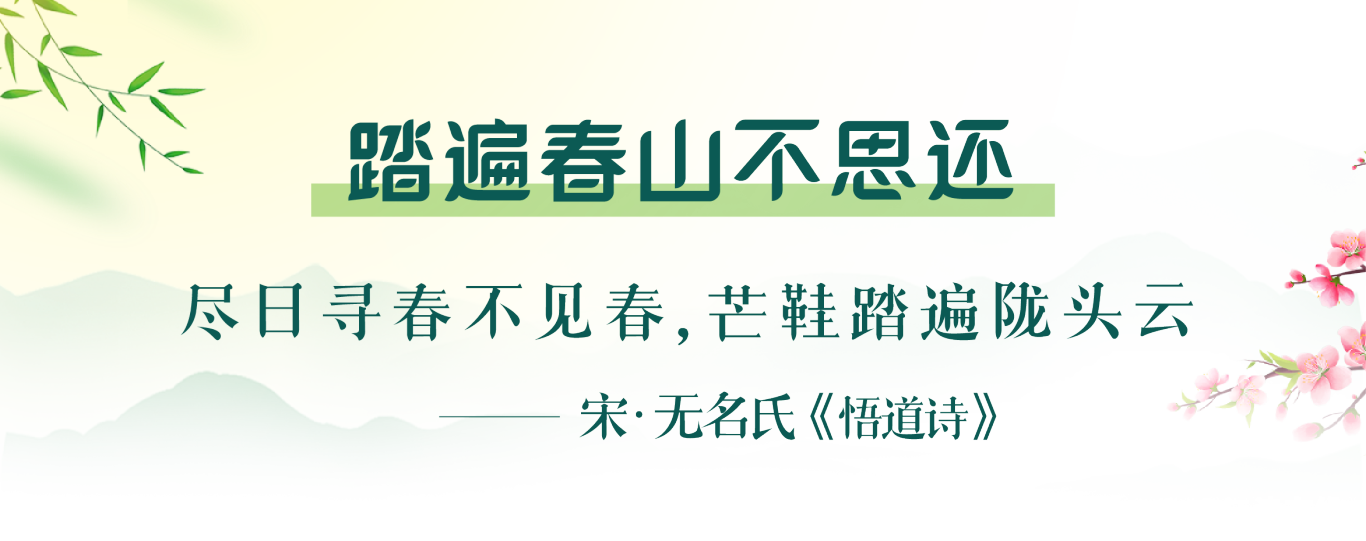 25be1f4a8c293b1ea4c4f7c743d285c0.png