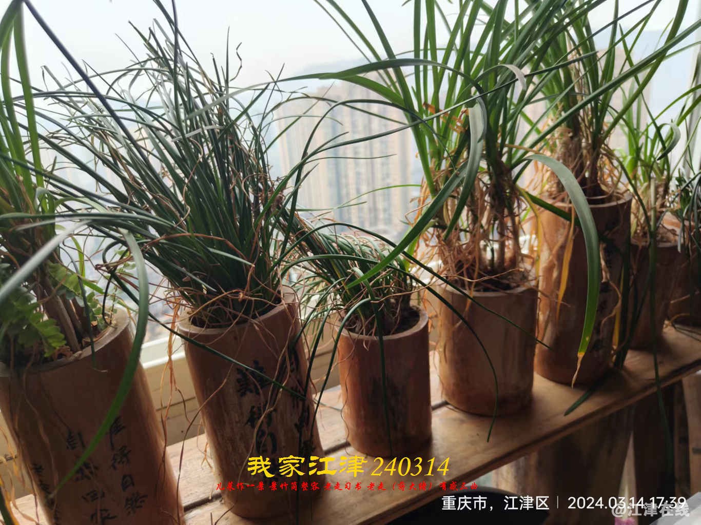 JYZ 20240314 WBQ (10).jpg