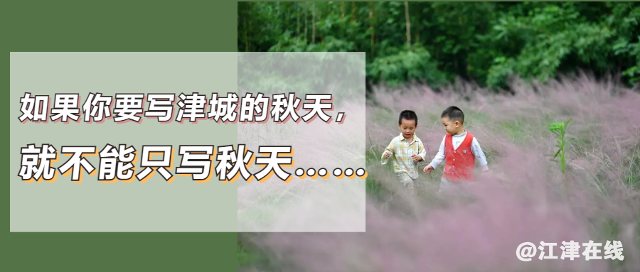3b536b7cc25ed03294a0b8802173be33.png