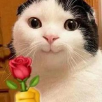 5367d108ce320c4ee22738a3d4367b6f.png