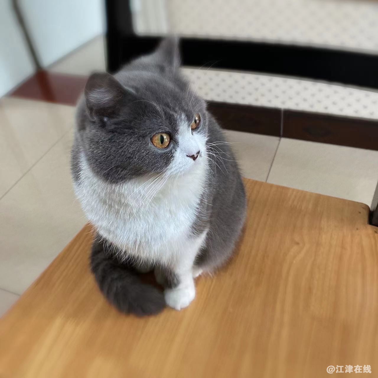 小七1.jpg