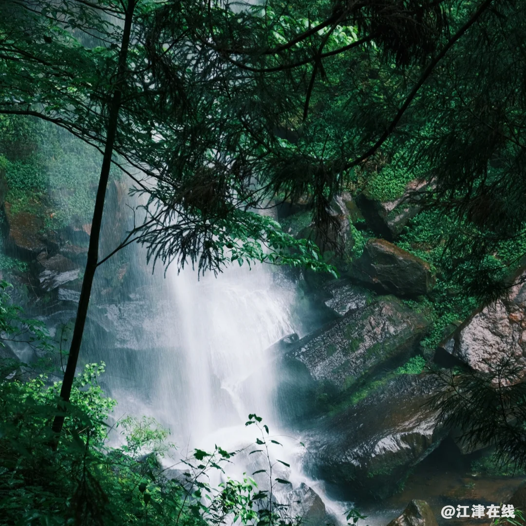 d0800818c3dd3f6f54105c7efa9f01bc.png