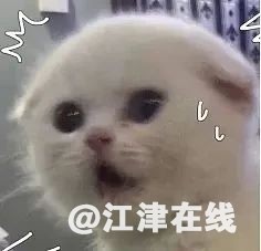40f6446a4f2e063598f8b488df52d359.jpg