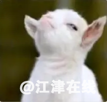 d09c48bd5c2fb9c540484d64a32aa871.png