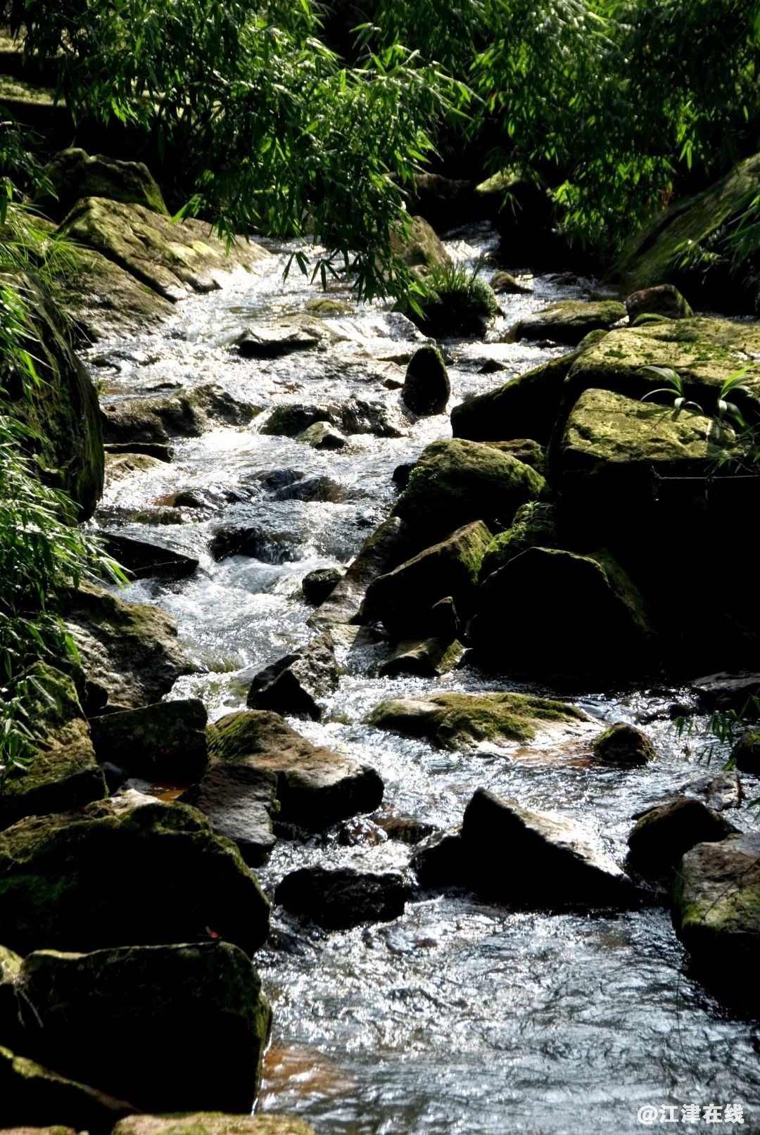 b4edd6e53b96fd1ecc66f5f8731a6a74.jpg