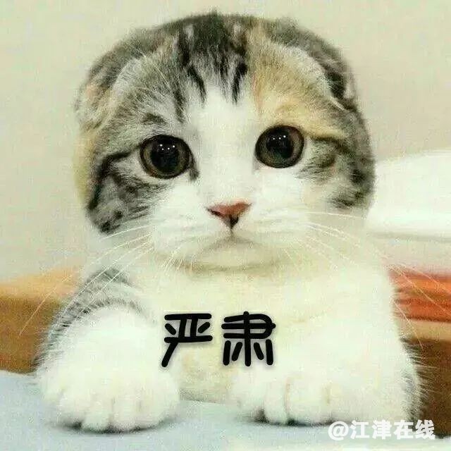 70dbb44e43e1fb5696fb7d077d4d6db8.jpg