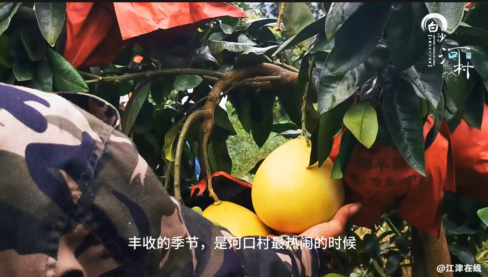 91b94ebc90adda1f67ee310ad0c9fd4d.png