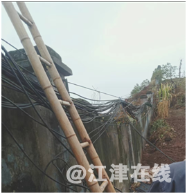 微信图片_20241031091557.png