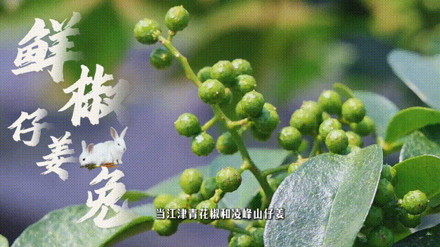 1a82156f299f0ace6cf888530ed2889a.gif