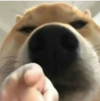 c73ee25bd6f35ab54c351bfd6eac2dc4.png