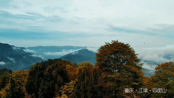 d41550e6bad52116476fc1afb2f2f95a.gif