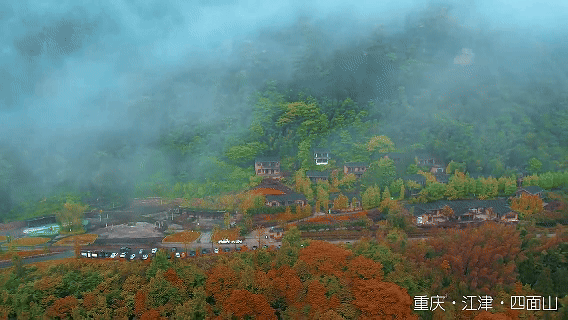 9f408b3066ce4a0bf535de0c4661afd3.gif