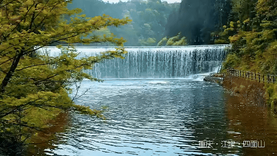 a271d7e8a5200998d2dfaa599a5300f1.gif