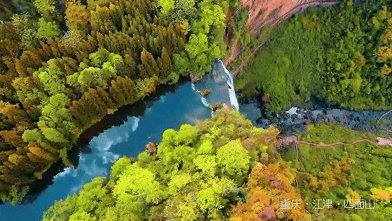 c12ea6e79b65735b6094246955164b1f.gif