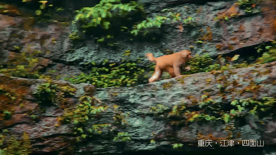 b1210c3e434989b5ca028b0820239b1e.gif