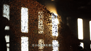 640?wx_fmt=gif&from=appmsg&wx_&tp=webp&wxfrom=5&wx_lazy=1&wx_co=1.jpg