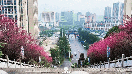 640?wx_fmt=gif&from=appmsg.jpg