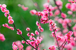 640?wx_fmt=gif&from=appmsg.jpg