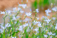 640?wx_fmt=gif&from=appmsg.jpg