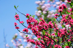 640?wx_fmt=gif&from=appmsg.jpg