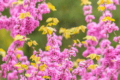 640?wx_fmt=gif&from=appmsg.jpg