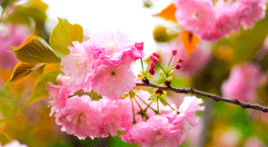 640?wx_fmt=gif&from=appmsg.jpg