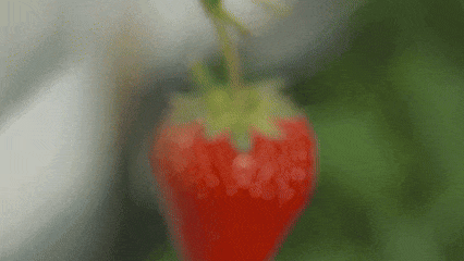 640?wx_fmt=gif&from=appmsg.jpg