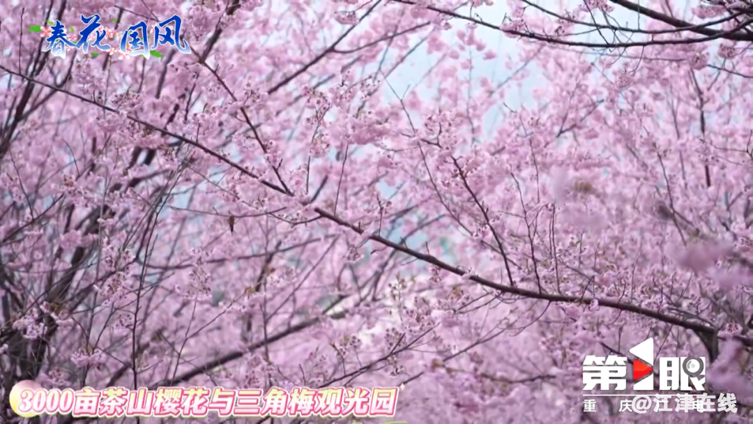 640?wx_fmt=png&from=appmsg.jpg