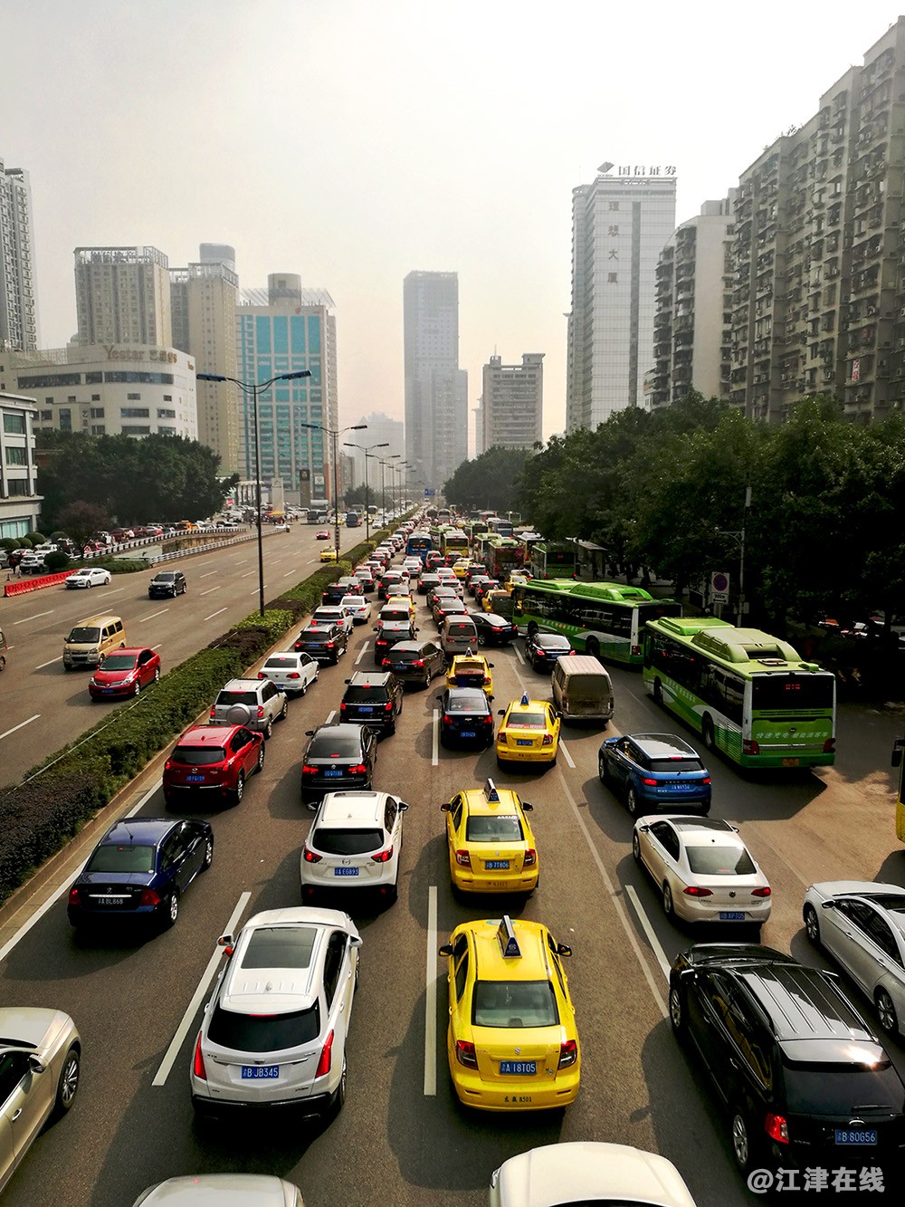 红锦大道街景花絮 (8).jpg