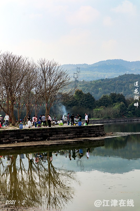 莲花湖畔 (2).jpg